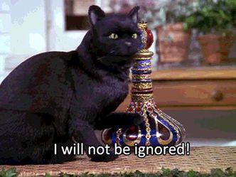 What is the full name of Salem the cat from Sabrina the Teenage Witch?