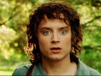 How many companions did Frodo have when he left Rivendell?