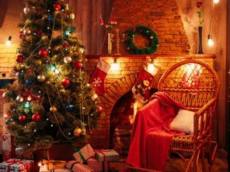 Which country is credited with the tradition of placing presents under a Christmas tree?