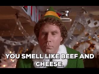 In the movie "Elf," what is the main character Buddy's favorite food group?
