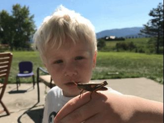 What insect is this child holding?