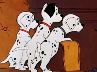 Except Pongo how many dalmatians were there?