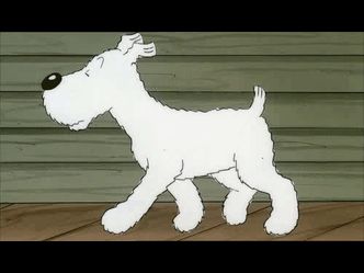 What's the name of Tintin's dog?