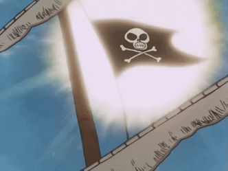 What is the name for this type of pirate flag?