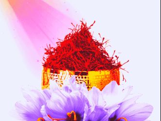 The spice "saffron" comes from which flower?