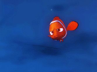 In 2003 Pixar film 'Finding Nemo' what is Nemo's nickname when he is placed into the dentist's fish tank?