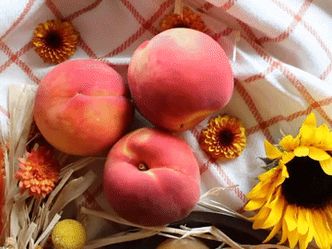 Which state is known as the Peach State?