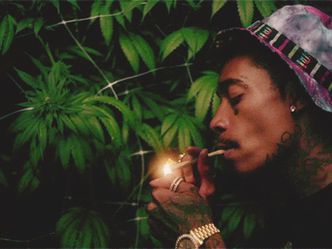 In what film quotes
" a friend with weed is a friend indeed "