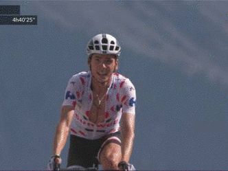 Who won the Tour de France?