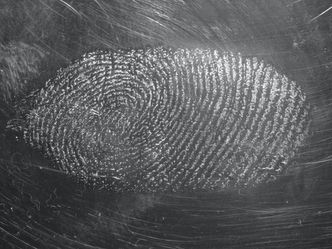 In what year were fingerprints first used to solve a crime?