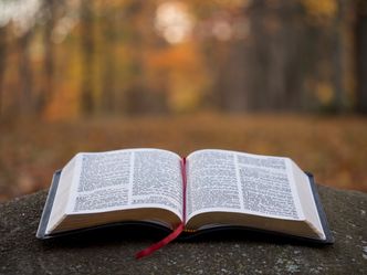 What are the first three words written in the Bible?