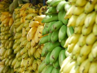 How many Bananas are eaten yearly? (in billions)