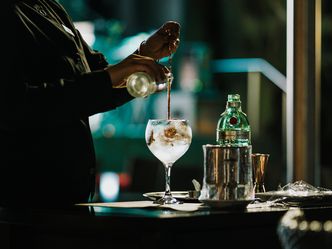 Carbonated water, sugar, lemon juice, and gin are ingredients for which cocktail?