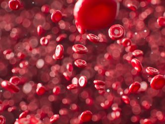 Where are new blood cells made?