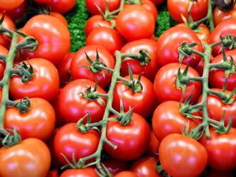 What popular variety of tomatoes, whose name suggests meat, is commonly used in sandwich making?