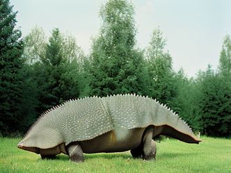 Was the Stegosaurus a carnivore or herbivore?