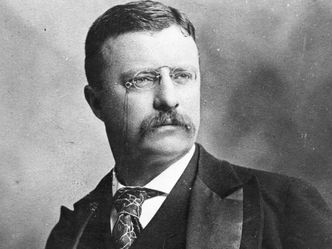 What did Theodore Roosevelt prioritize?