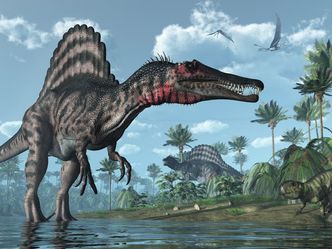 Which was the largest carnivorous dinosaur?