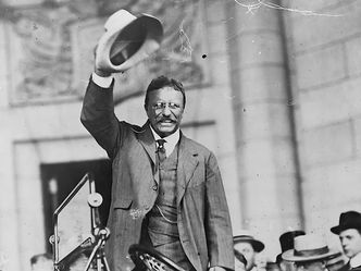 What was the name of Theodore Roosevelt's domestic policy?