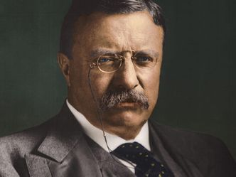 What year did Theodore Roosevelt become president?