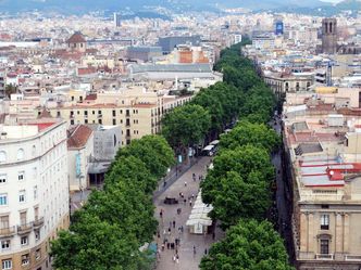 Barcelona is the capital of Spain. True or False?