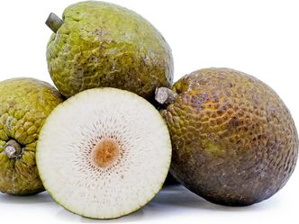 This fruit is commonly named due to its texture and smell when cooked, what is its name?