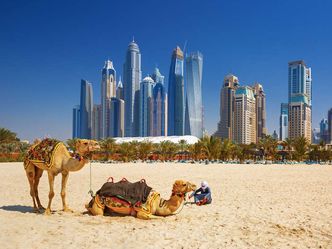 Camel racing is a very popular sport in Dubai that requires a light weight jockey. The jockeys used in Dubai are... 