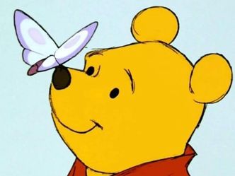 What type of bear is the famous character Winnie the Pooh?