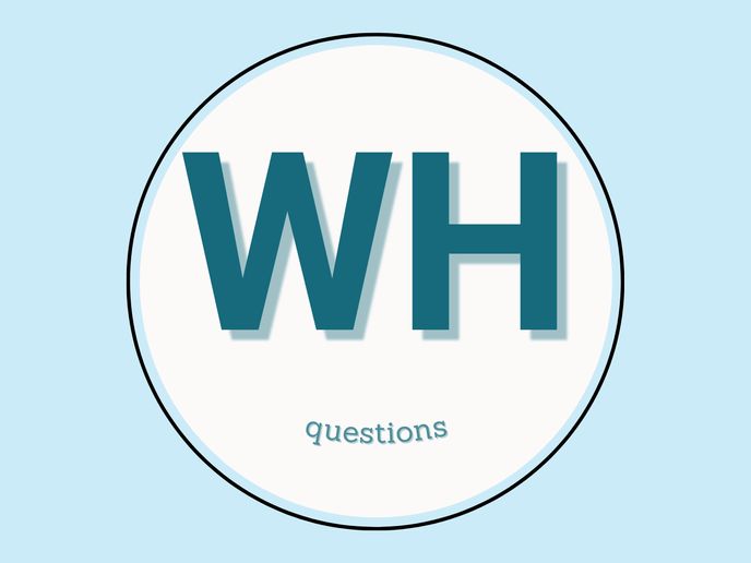 Wh/h Questions