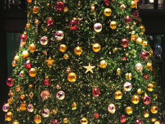In what country was the Christmas tree originated?