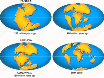 How many continents are there on earth?