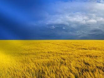 The country's flag's colors are rumored to represent a sky over a wheat field.