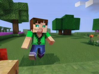 What is the name of the main character in Minecraft?