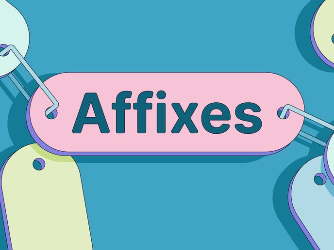 AFFIXES Quiz affixes-quiz