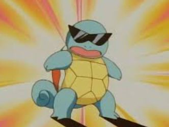 How many members are part of the Squirtle Squad?
