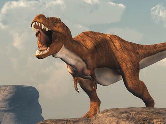What does the name Tyrannosaurus rex mean?