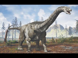 When compared to other animals, how much did the heaviest dinosaur weigh?