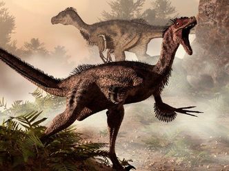 What is the meaning of the name Velociraptor?