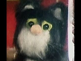 What was the name of Postman Pat's cat?