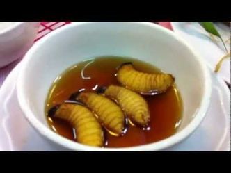 Đây là món gì?