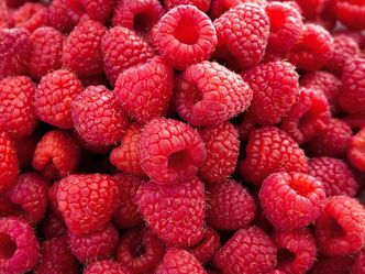 The raspberry has the scientific name of Rubus and is a member of which family?