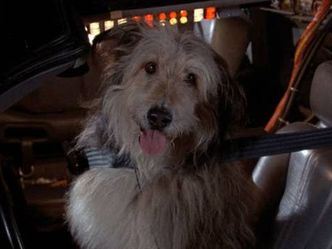 What is the name of Doc Brown's dog in 1985?