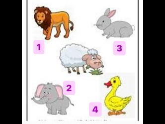 Match the names of animals with the correct article?