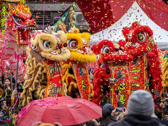 What animal is the mascot for Chinese New Year?
