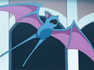 What is the final evolution of Zubat? 