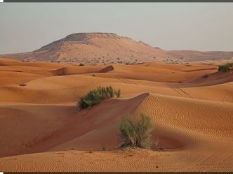 Which desert is the biggest one in the Middle East?