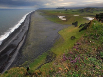 Yes or no, "Iceland's entire surface is made of volcanic rock".