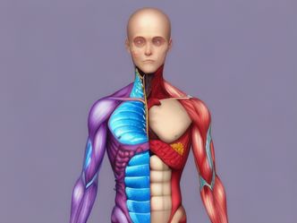 What is the largest organ in the human body?