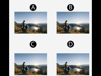 Which image different from other?