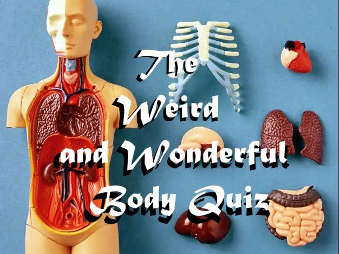 The Weird and Wonderful Body Quiz